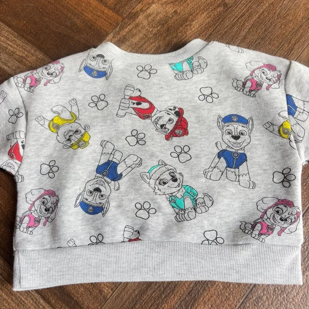 Nickelodeon Paw Patrol 2 Piece Set Outfit Pants Sweatshirt Grey Size 12 Months